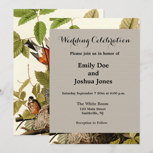 Invitación Audubon American Robin Wildlife Bird Ilustracion (Anverso / Reverso)