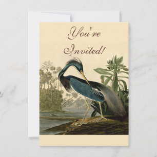 Invitación Audubon Louisiana Garza Aves América Arte