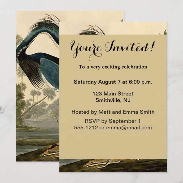 Invitación Audubon Louisiana Heron Birds America Art (Anverso / Reverso)