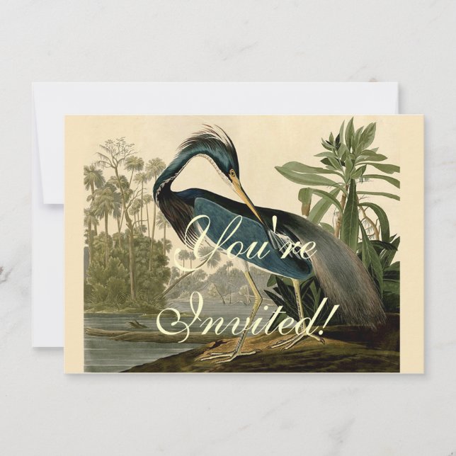 Invitación Audubon Louisiana Heron Birds America Art (Anverso)