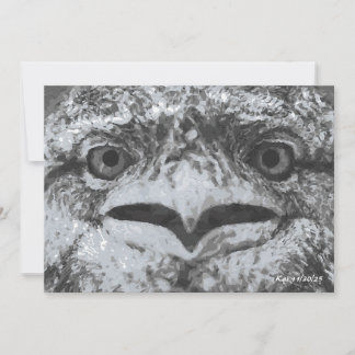 Invitación Australian Wildlife, Nature's Curmudgeon, Animal