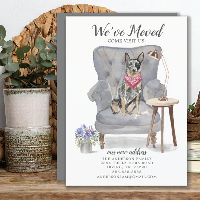 Invitación australiana de desplazamiento de perro  (Subido por el creador)