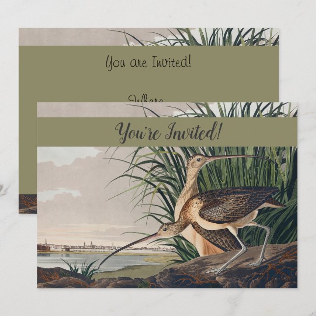 Invitación Ave Audubon (Anverso / Reverso)