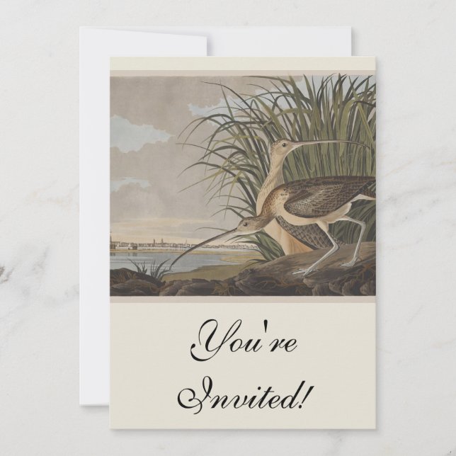 Invitación Ave Audubon (Anverso)