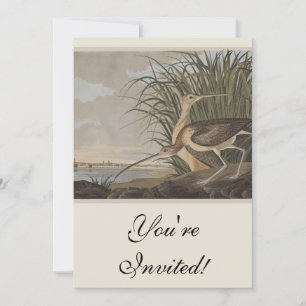 Invitación Ave Audubon