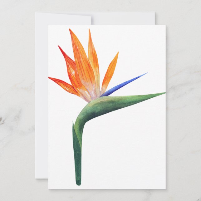 Invitación ave de estrelizia exótica de la flor del paraíso (Reverso)