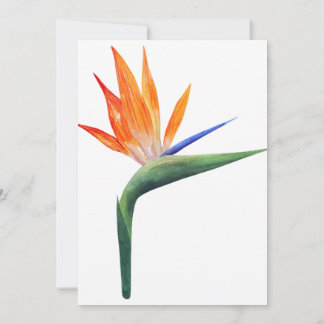 Invitación ave de estrelizia exótica de la flor del paraíso
