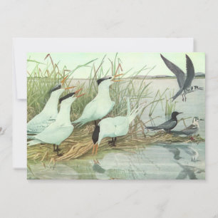 Invitación Aves costeras vintage en una marisma de Louis Fuer