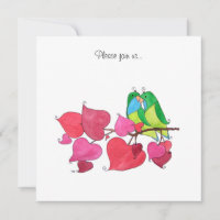 Aves de amor