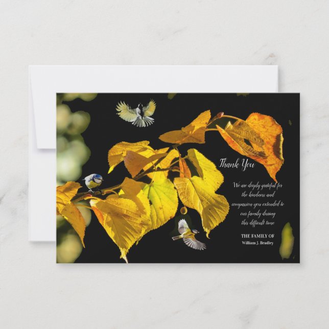 Invitación Aves en la simpatía de la vuelo Gracias Cartas (Anverso)
