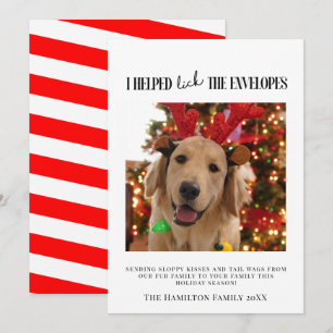 Invitación Ayudé a lamer las fotos de perro de Navidad de sob