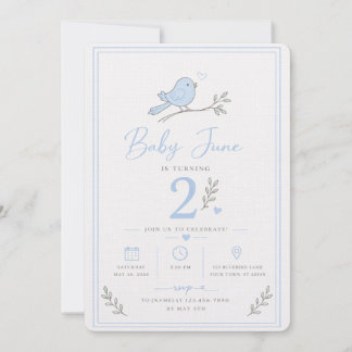 Invitación Baby Boy 2nd Birthday Invite