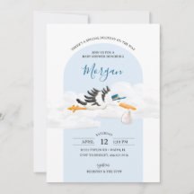 Baby Boy Special Delivery Stork Baby Shower