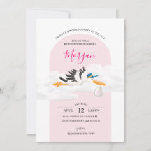 Baby Girl Special Delivery Stork Baby Shower