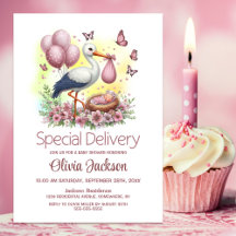 Baby Girl Special Delivery Stork Baby Shower
