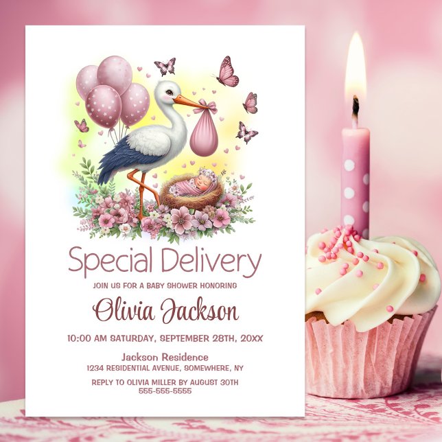 Invitación Baby Girl Special Delivery Stork Baby Shower (Subido por el creador)