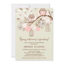 Invitación Baby Shower a lechuzas y aves rosadas