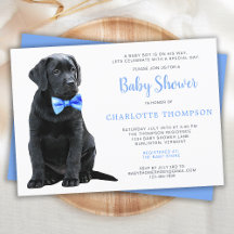Baby Shower Black Lab Puppy Dog Blue Boy