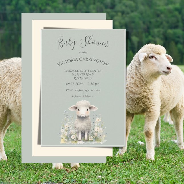 Invitación Baby Shower De Flores De Cordero Cute (Subido por el creador)