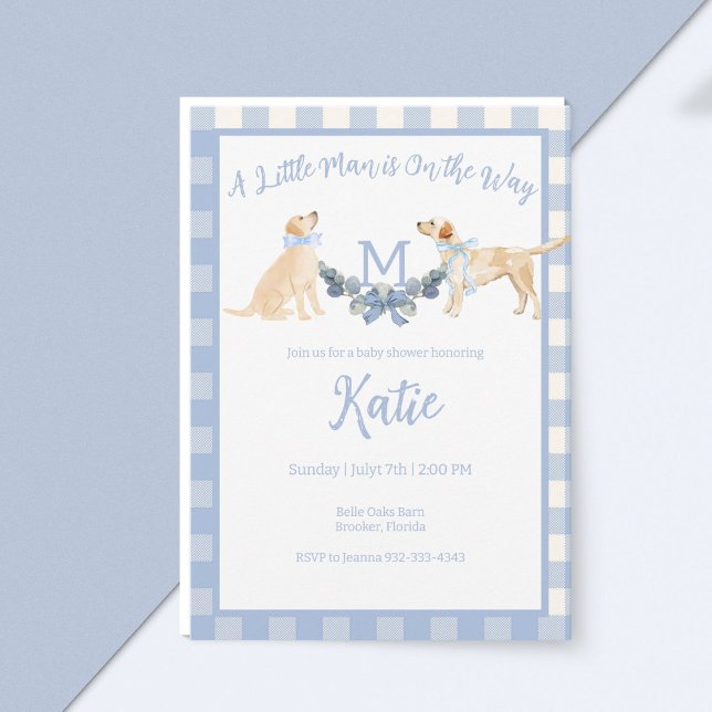 Invitación Baby Shower de Gingham azul y blanco (Subido por el creador)