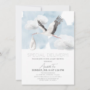 Invitación Baby Shower de Special Delivery Stork Boy