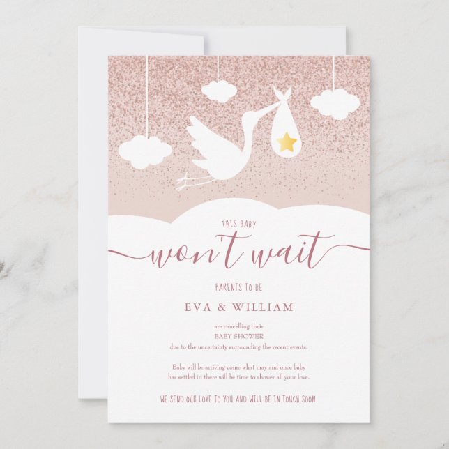 Invitación Baby Shower, Purpurina de cigüeñas de cancelación  (Anverso)