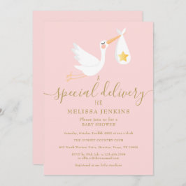 Invitación Baby Shower Sprinkle Special Delivery Stork Pink