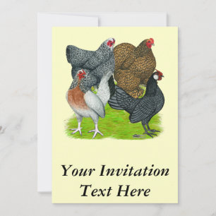 Invitación Bantam Hen Quartet