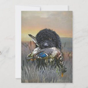 Invitación Barbet , Perro de Agua Francés