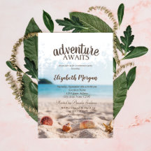 Beach, Sand, Fiesta de Jubilación de Seashells