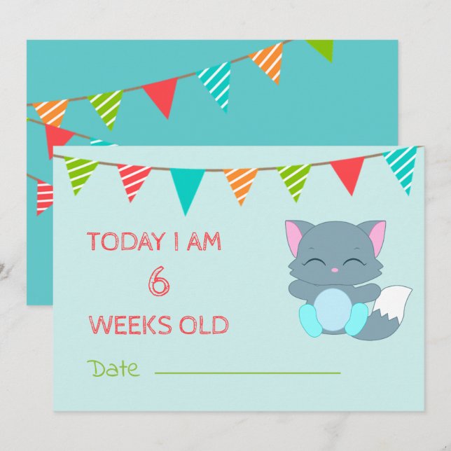 Invitación Bebé Cute Milestone Mes Gatito colorido (Anverso / Reverso)