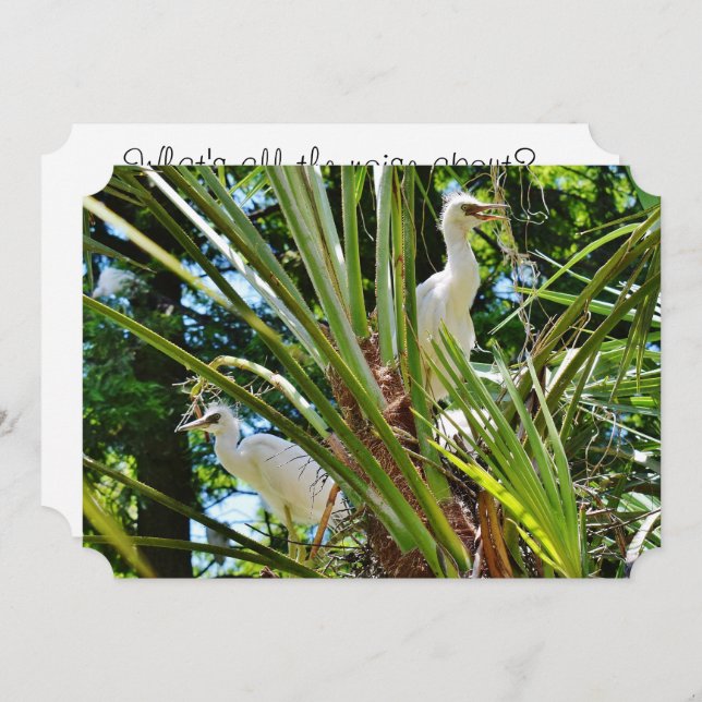 Invitación Bebés Pájaros (Anverso / Reverso)