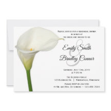 Bella Calla Blanca Lily Ensayo Floral Cena