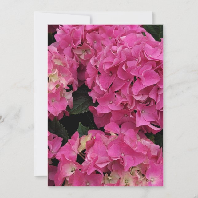 Invitación Belleza de la hidrangea rosa (Anverso)