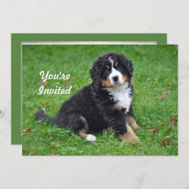 Invitación Bernese Mountain Dog Puppy Photo Birday