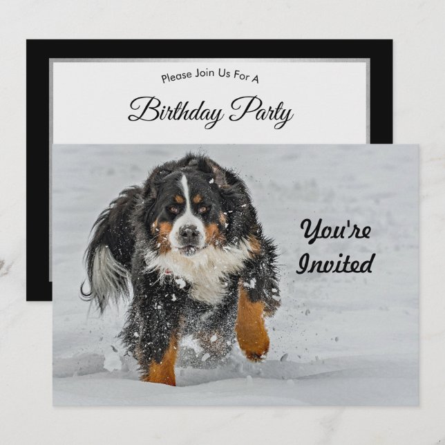 Invitación Bernese Mountain Dog Snow Photo Birday (Anverso / Reverso)