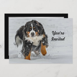 Invitación Bernese Mountain Dog Snow Photo Birday