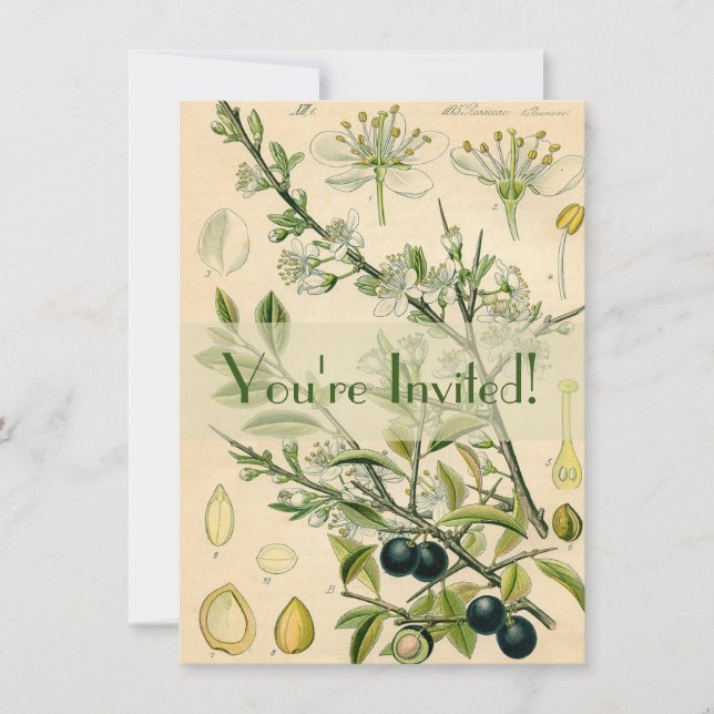 Invitación Berry de flores antiguas de espinas negras (Anverso)