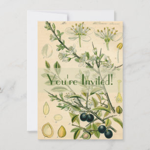 Invitación Berry de flores antiguas de espinas negras