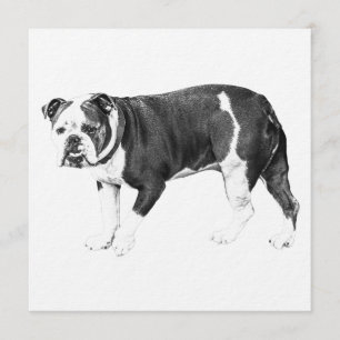 Invitación Bienvenida Bulldog, Ambiente Pacífico