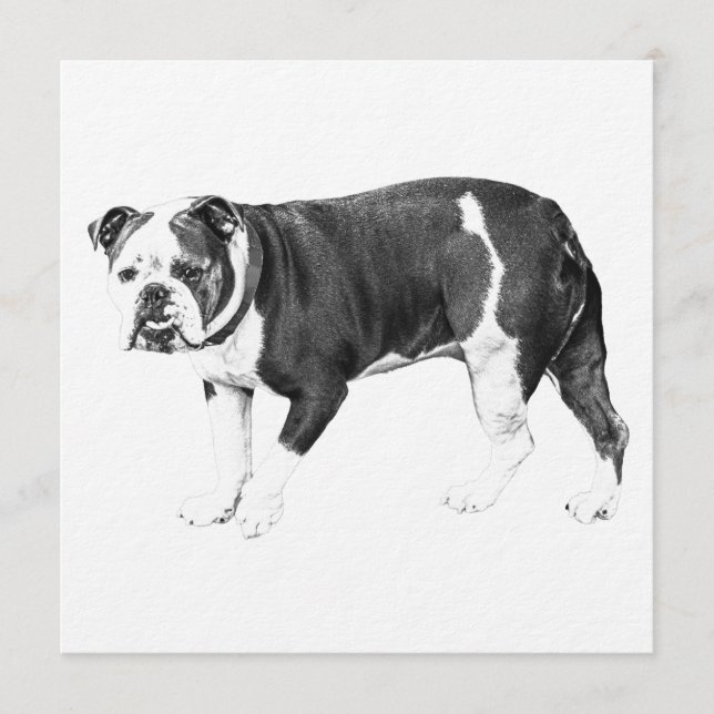 Invitación Bienvenida Bulldog, Ambiente Pacífico (Anverso)