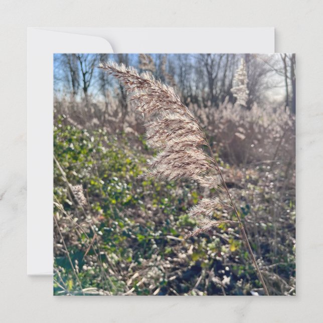 Invitación Bienvenida de otoño. (Anverso)