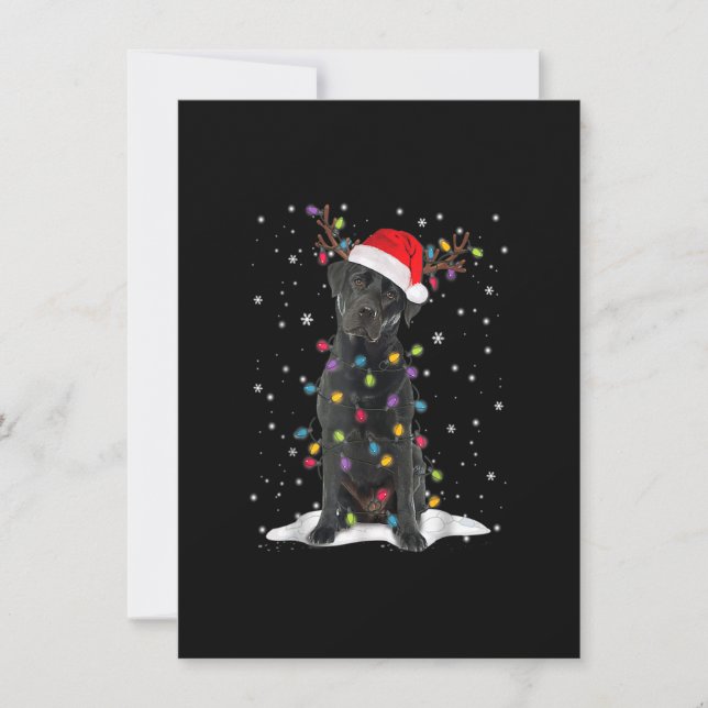 Invitación Black Lab Labrador Christmas Tree Light Pajama Dog (Anverso)
