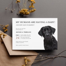 Black Labrador Retriever Baby Shower Minimalist