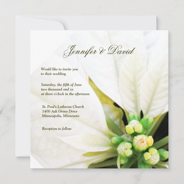 Invitación blanca de la boda del Poinsettia (Anverso)