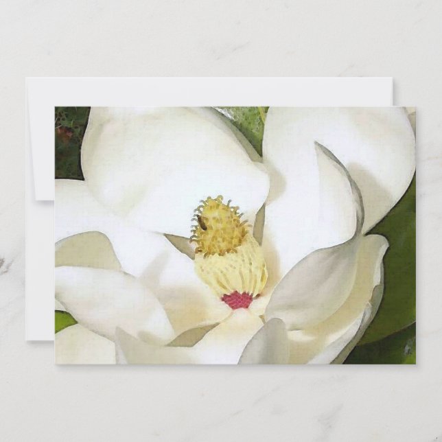 Invitación blanca de Magnolia - Arte floral invita (Anverso)