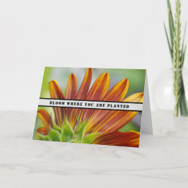 Invitación Bloom Donde Te Plantan