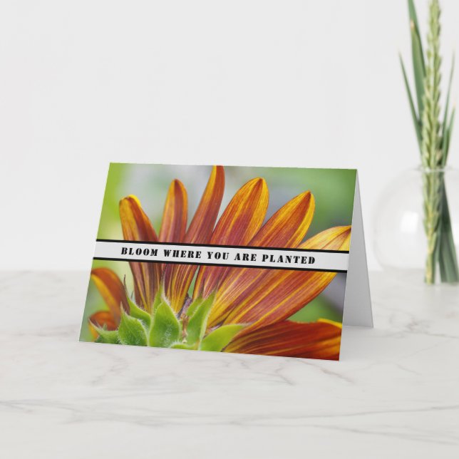Invitación Bloom Donde Te Plantan (Anverso)