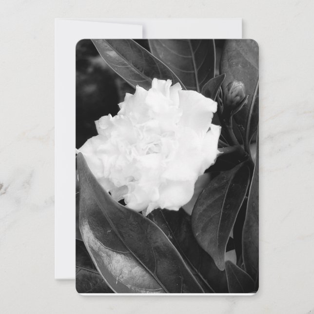 Invitación Bloom monocromo (Anverso)