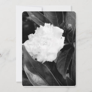 Invitación Bloom monocromo